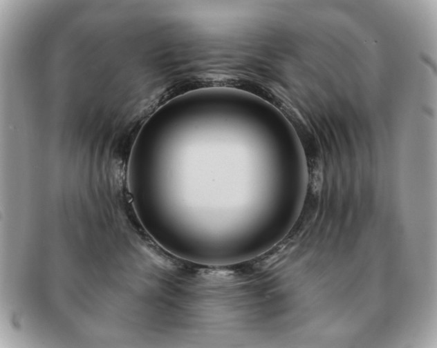 X0000091530476200708171225