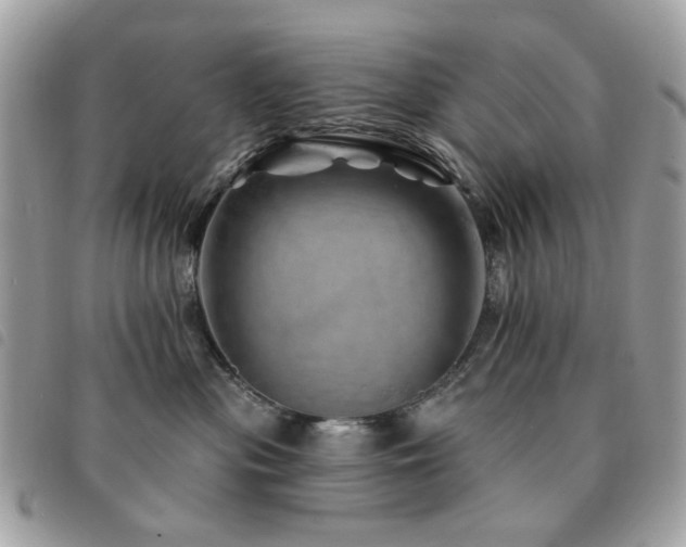 X0000091530477200708171225