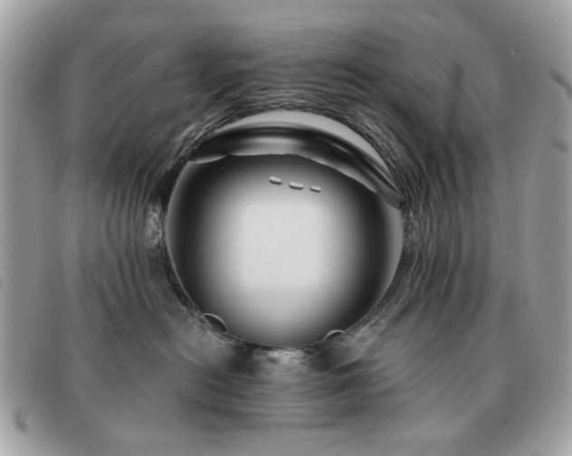 X0000091530478200708171225