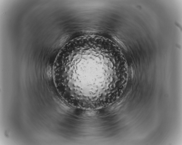 X0000091530479200708171225