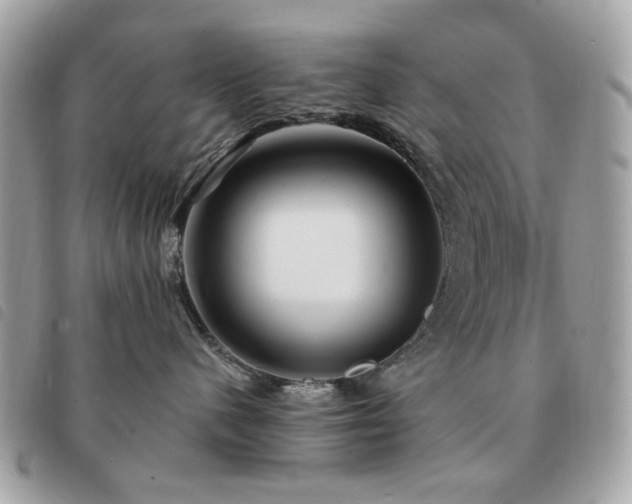 X0000091530480200708171225
