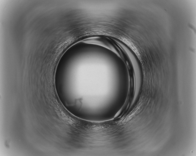 X0000091530481200708171224