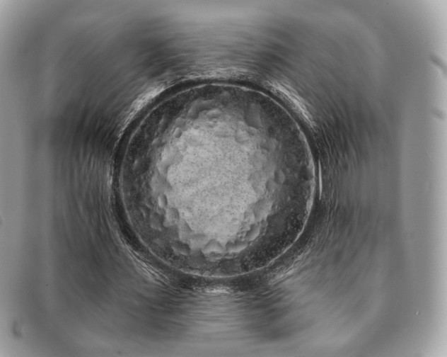 X0000091530483200708171224