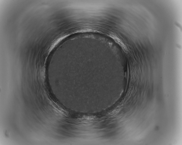 X0000091530484200708171224