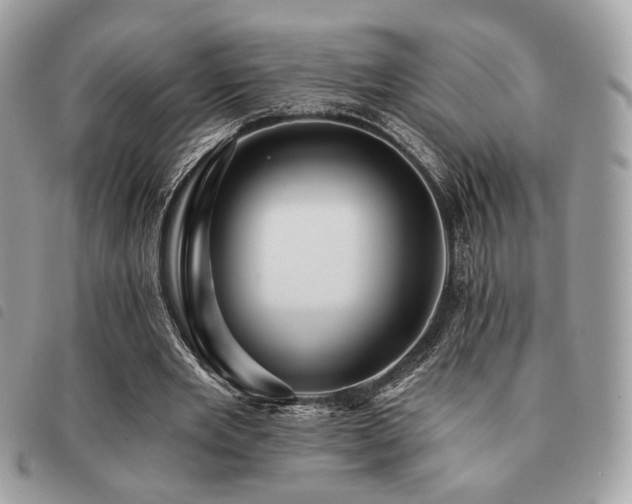 X0000091530485200708171224