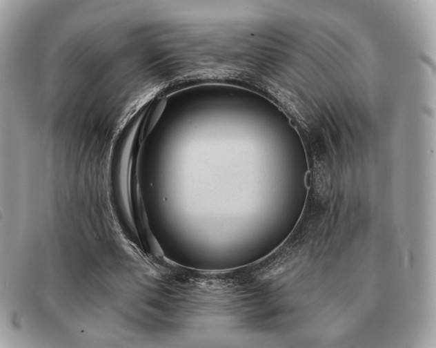 X0000091530486200708171224
