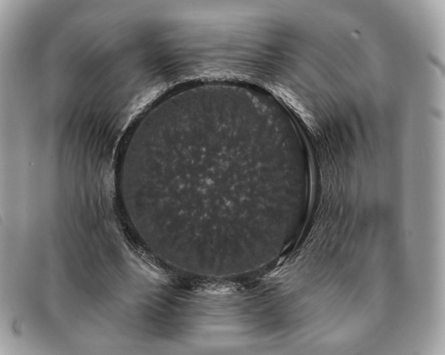 X0000091530488200708171224