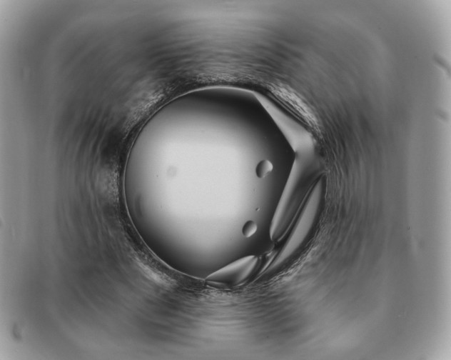 X0000091530489200708171224