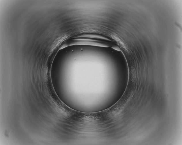 X0000091530490200708171224