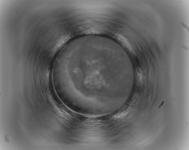 X0000091530491200708171224