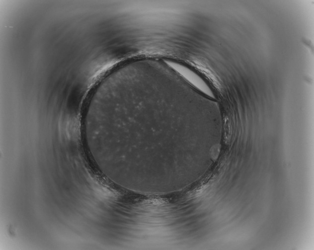 X0000091530492200708171224
