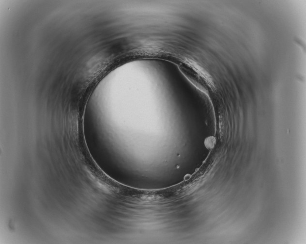X0000091530493200708171224