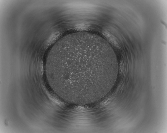 X0000091530494200708171224