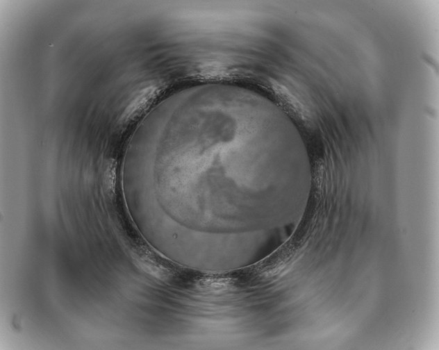 X0000091530495200708171224