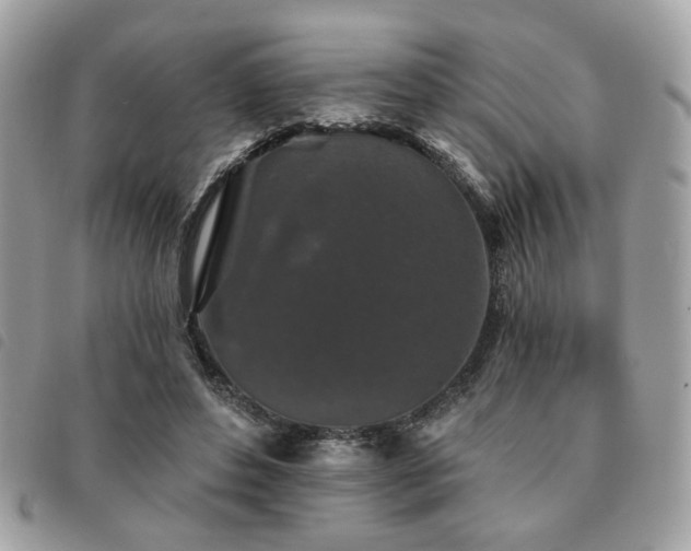 X0000091530496200708171224