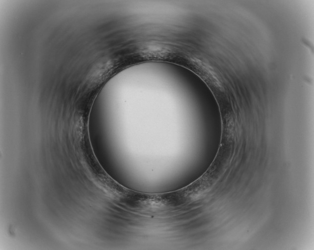 X0000091530498200708171224