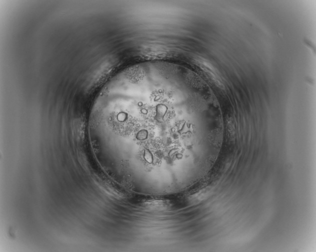 X0000091530499200708171224