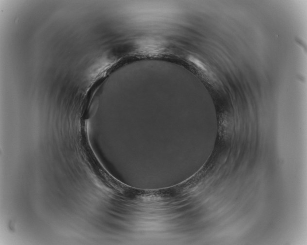 X0000091530500200708171224