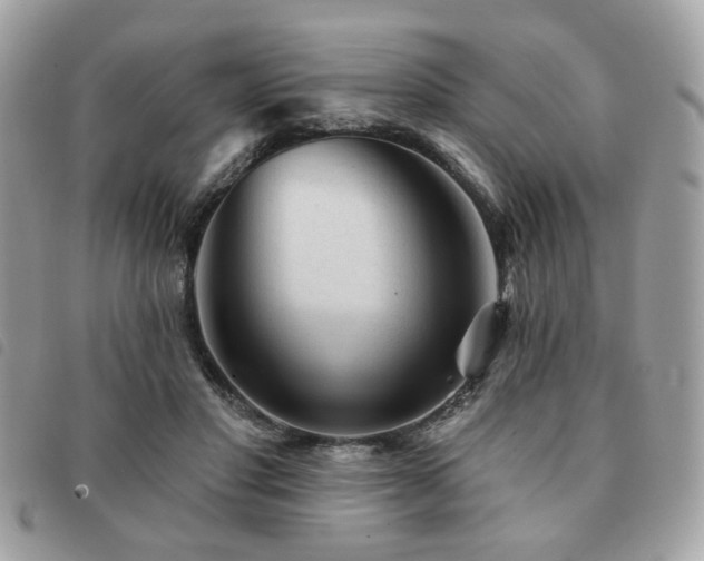 X0000091530501200708171224