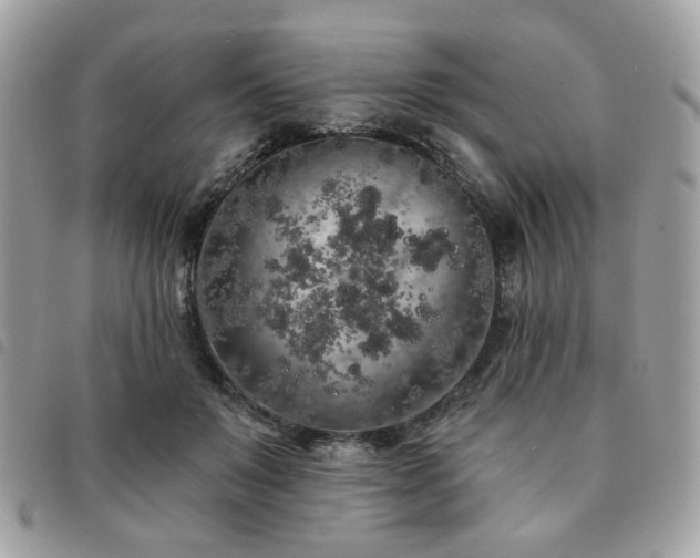 X0000091530503200708171224