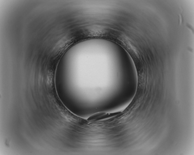 X0000091530505200708171224