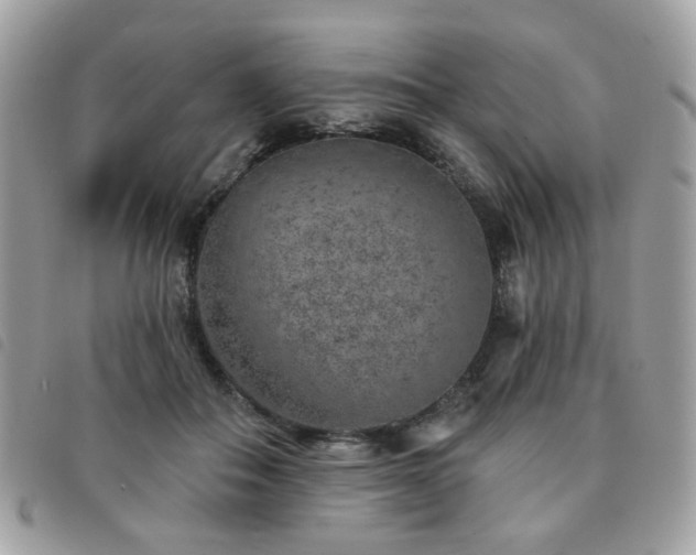 X0000091530506200708171224