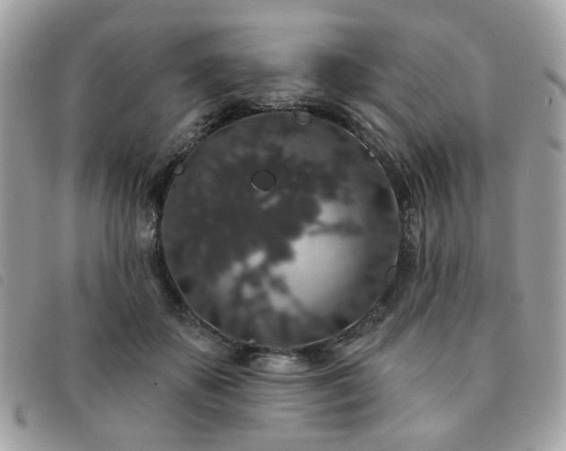 X0000091530507200708171224