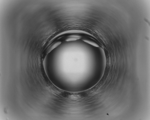 X0000091530508200708171224