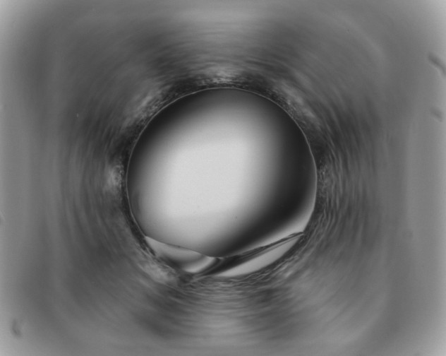 X0000091530509200708171224