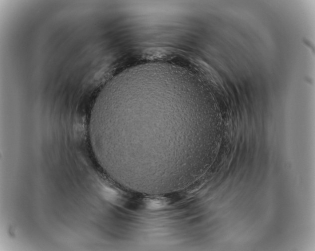 X0000091530510200708171224