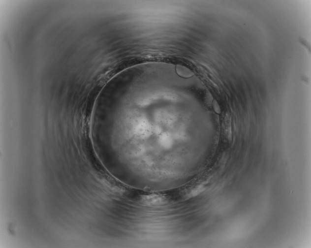 X0000091530511200708171224