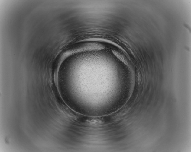 X0000091530512200708171224