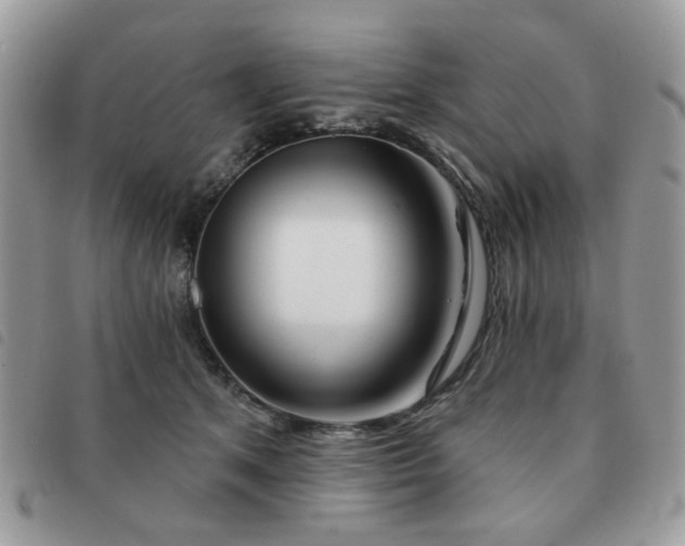 X0000091530513200708171224