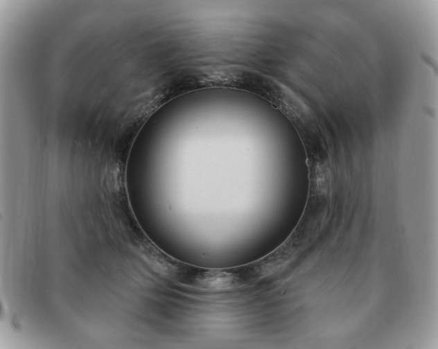 X0000091530514200708171224