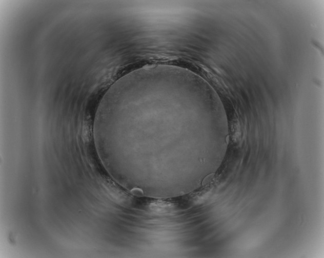 X0000091530515200708171223