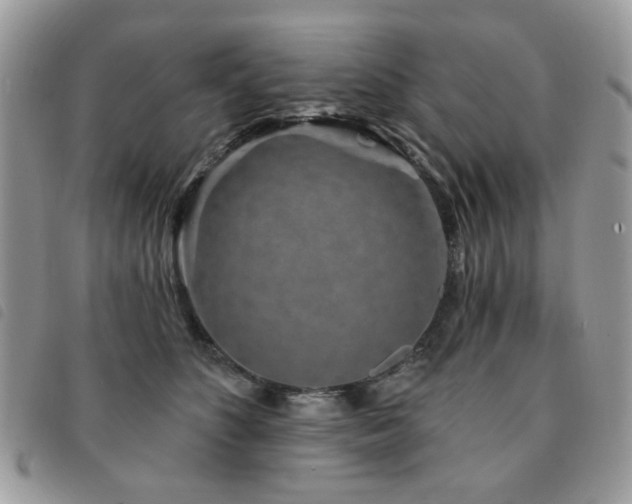 X0000091530516200708171223