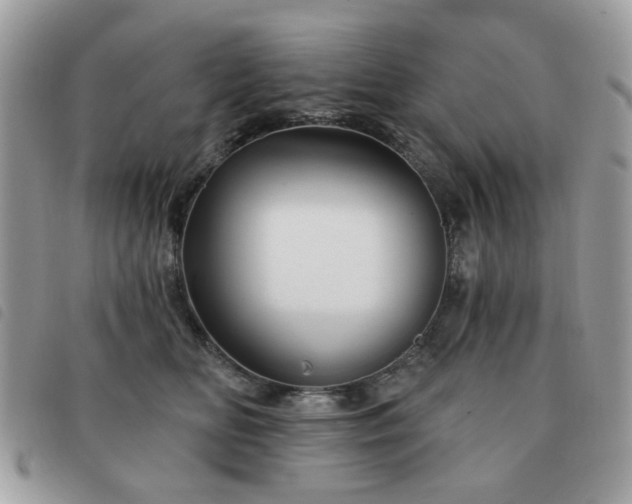 X0000091530518200708171223