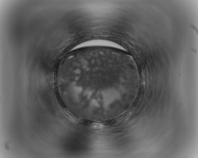 X0000091530519200708171223