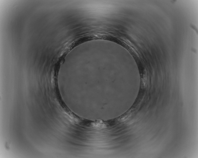 X0000091530520200708171223