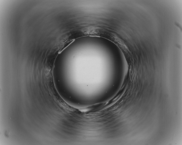 X0000091530521200708171223