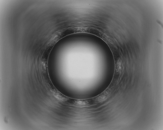 X0000091530522200708171223