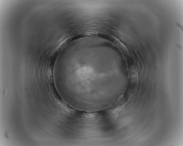 X0000091530523200708171223