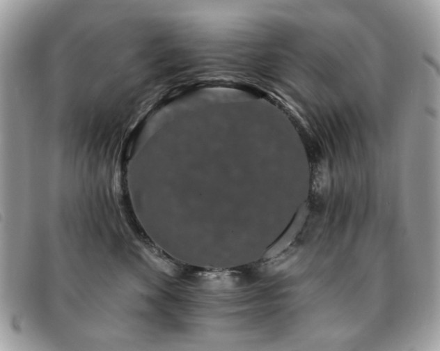 X0000091530524200708171223