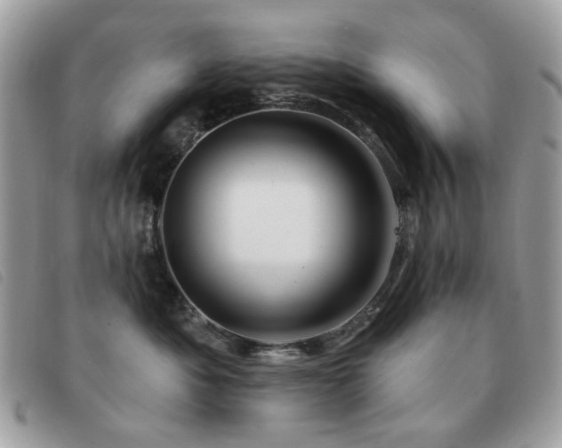 X0000091530525200708171223