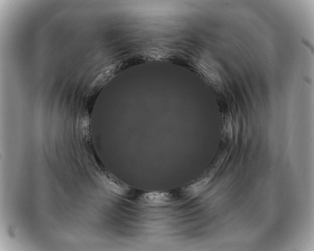 X0000091530526200708171223