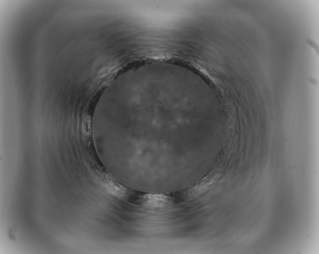 X0000091530528200708171223