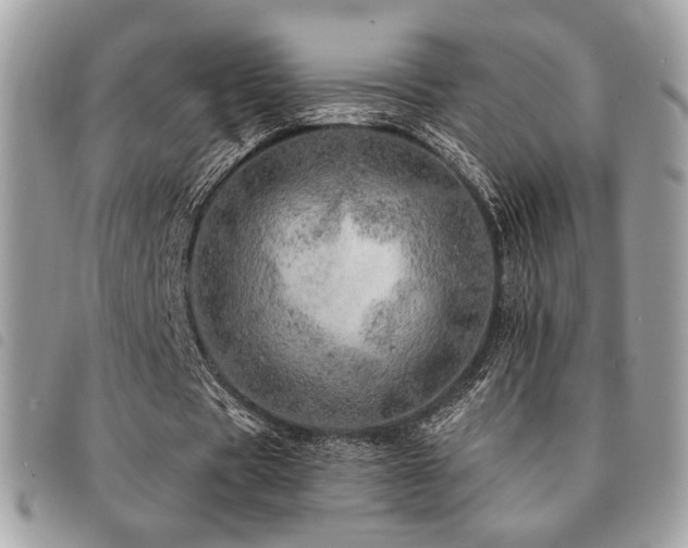 X0000091530529200708171223