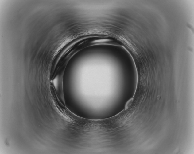 X0000091530530200708171223