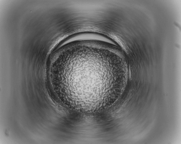 X0000091530531200708171223
