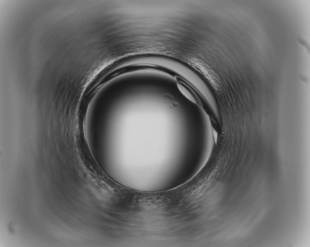 X0000091530532200708171223
